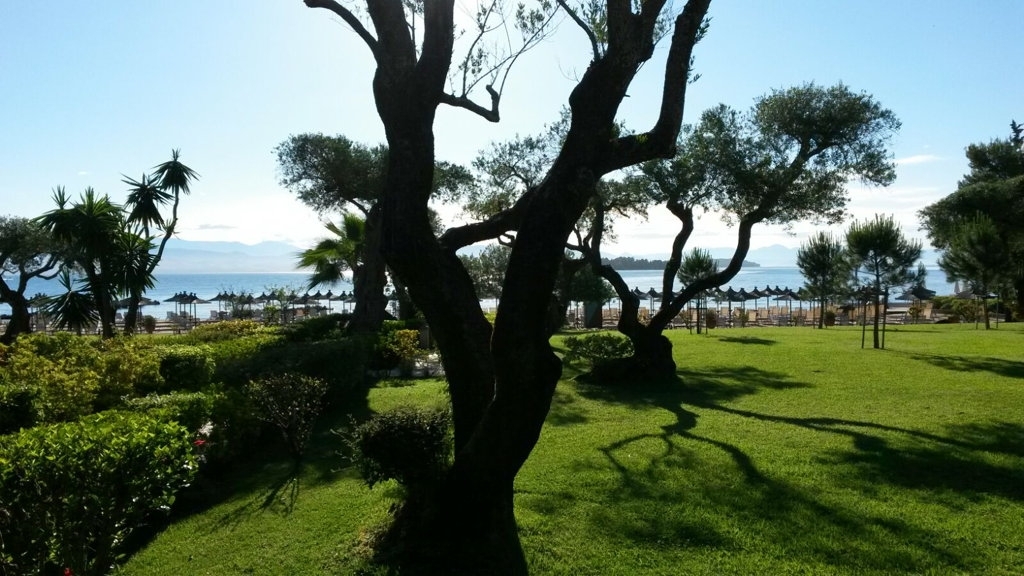 Yoga-Retreat-Korfu-2016-6